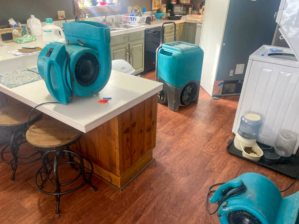 Best Local water damage restoration  in Spring Glen, UT