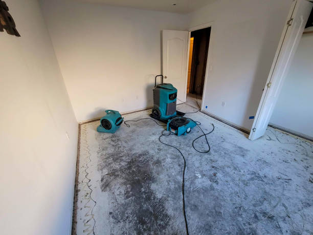 Best Flooded house restoration  in Spring Glen, UT