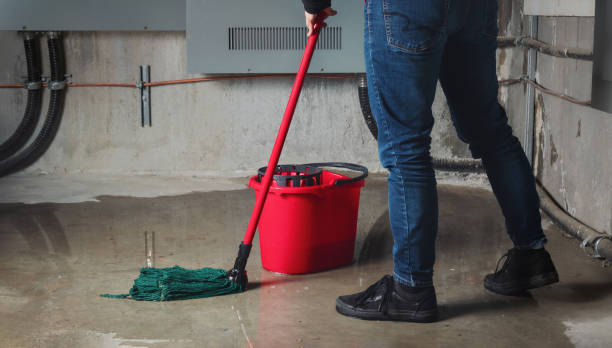 Best Carpet water damage restoration  in Spring Glen, UT