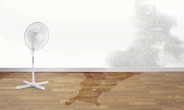 Best Residential water damage restoration  in Spring Glen, UT